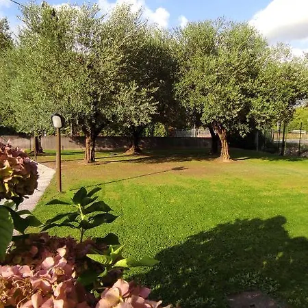 Gli Ulivi Lucca